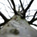 blank-profile-325894