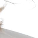 blank-profile-428044