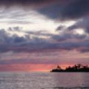 blank-profile-347029