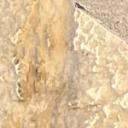 blank-profile-277076