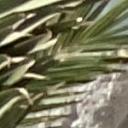 blank-profile-221042