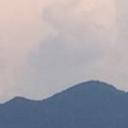 blank-profile-177560