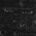 gabrieleprofile image