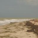 blank-profile-311680