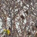 Instructor malone-blank-profile