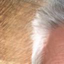 blank-profile-136913