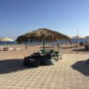 blank-profile-242419