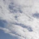 blank-profile-100492