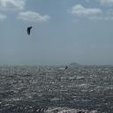 blank-profile-289833