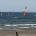 blank-profile-429516