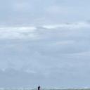 blank-profile-413996