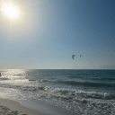 blank-profile-431399