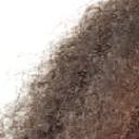 blank-profile-277827