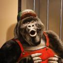 blank-profile-137701