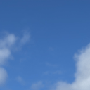 blank-profile-450241