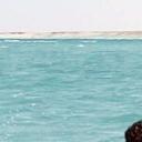 Mohamedprofile image