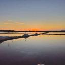 blank-profile-2505916
