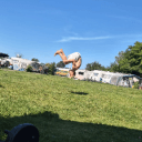 Filipprofile image