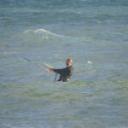 Agostinoprofile image