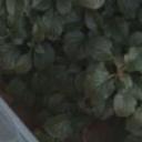 blank-profile-311450