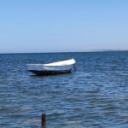 blank-profile-215945