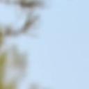 blank-profile-226675