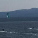 blank-profile-234718