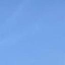 blank-profile-375187