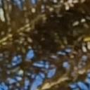 blank-profile-396670