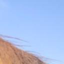 blank-profile-421264