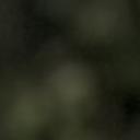 blank-profile-454922