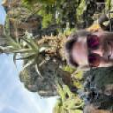 blank-profile-350512