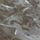 blank-profile-379905