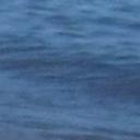 blank-profile-279113