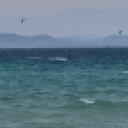 blank-profile-375461