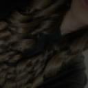 blank-profile-424294