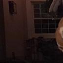 blank-profile-385730