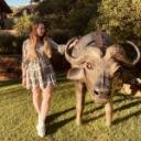 blank-profile-366762