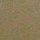 blank-profile-261907