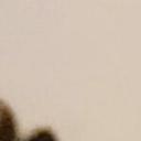 blank-profile-221039