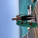 blank-profile-374010