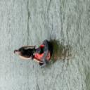 blank-profile-332963