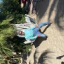 blank-profile-357571