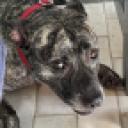 blank-profile-417084