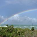 blank-profile-147209