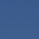 blank-profile-452979