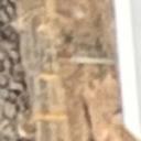 blank-profile-384110