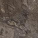 blank-profile-344805