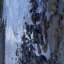 blank-profile-358870