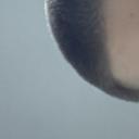 blank-profile-395193